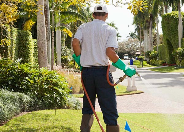 About Wheaton IL Pest Control Pros